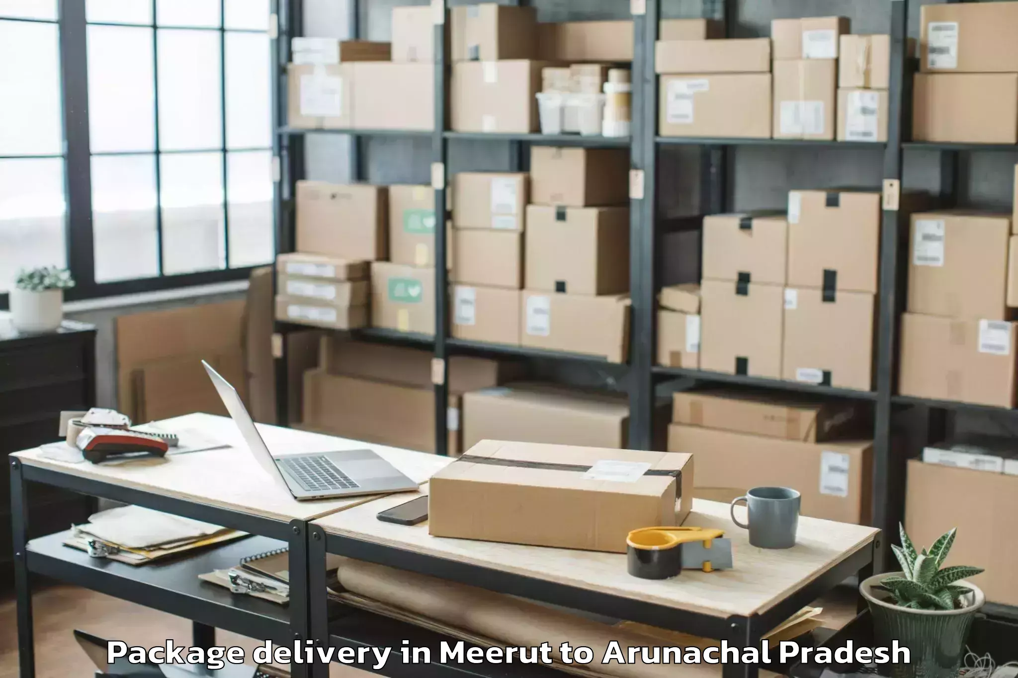 Professional Meerut to Lazu Package Delivery